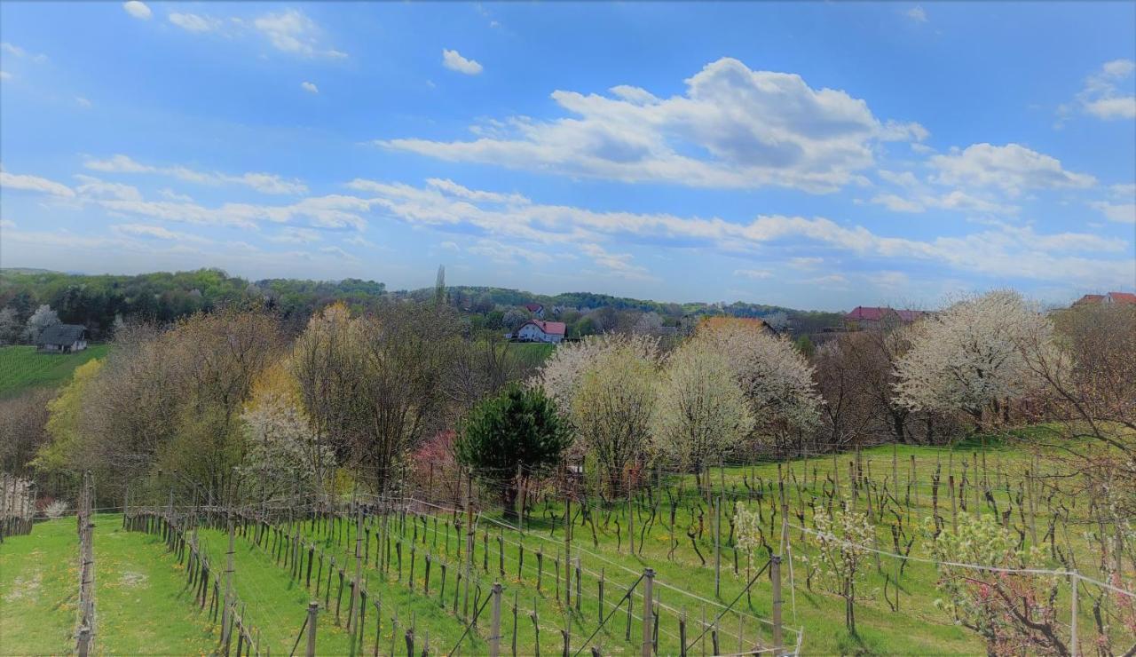 Apartma-Spa Natura Sveti Jurij ob Scavnici ภายนอก รูปภาพ