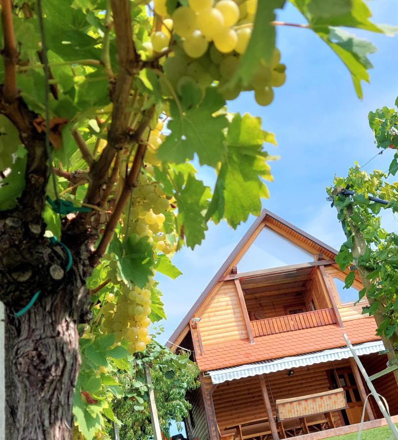 Apartma-Spa Natura Sveti Jurij ob Scavnici ภายนอก รูปภาพ