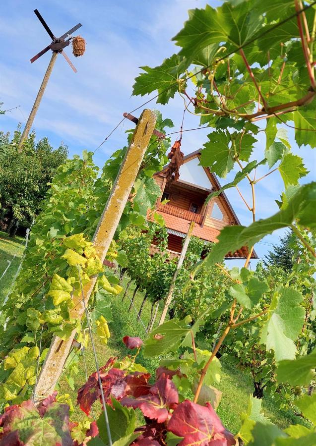 Apartma-Spa Natura Sveti Jurij ob Scavnici ภายนอก รูปภาพ